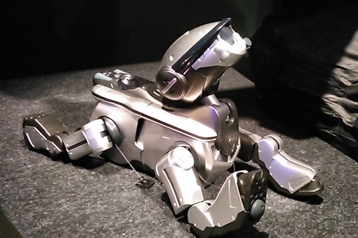 Il funerale del cane robot: la storia dei robot da compagnia (e quattro da provare oggi)